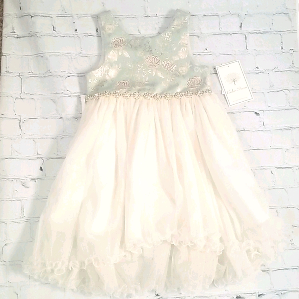Embroidered and Rhinestone Dress